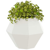 Vidaxl plantenbak wit 50 x 50 x 40 cm staal