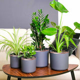 Vidaxl kopertape koper 2000 x 1 cm koper