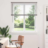 Vidaxl venetiaanse jaloezieën zilver 130 x 110 cm aluminium