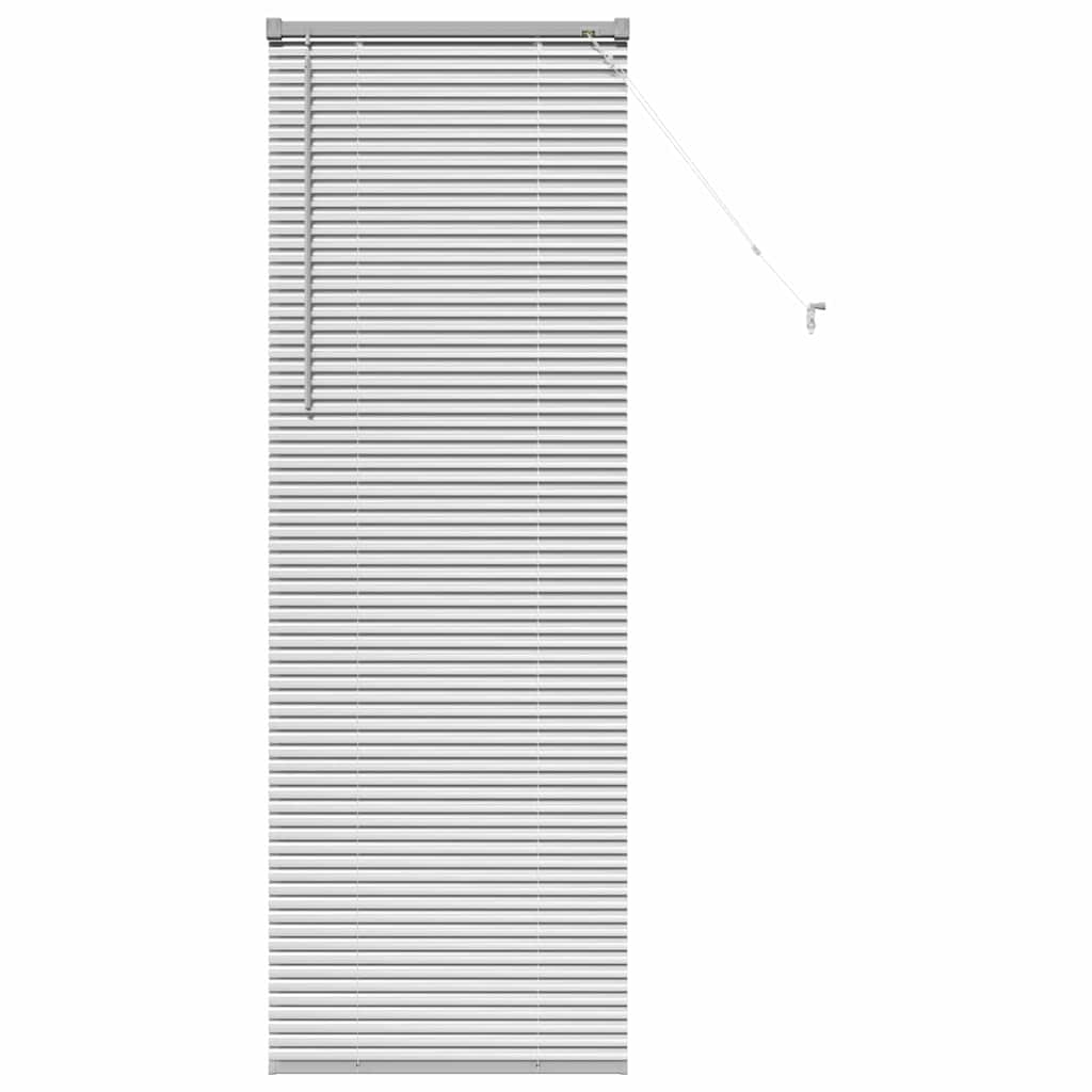 Vidaxl venetiaanse jaloezieën zilver 175 x 65 cm aluminium