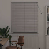 Vidaxl venetiaanse jaloezieën zilver 175 x 110 cm aluminium