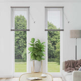 Vidaxl venetiaanse jaloezieën zilver 220 x 55 cm aluminium
