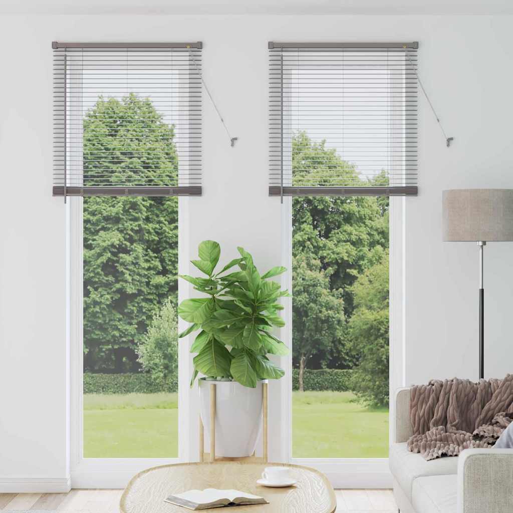 Vidaxl venetiaanse jaloezieën zilver 220 x 75 cm aluminium