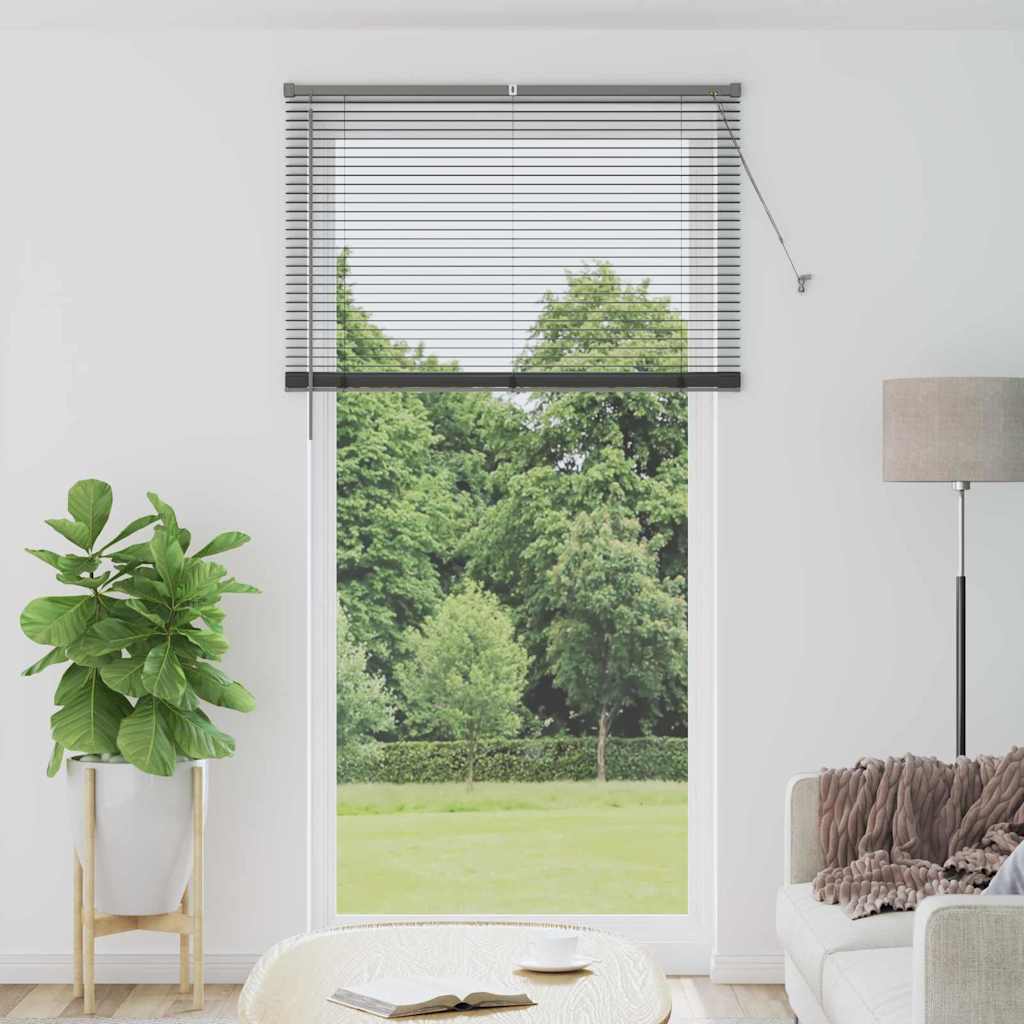 Vidaxl venetiaanse jaloezieën donkergrijs 220 x 110 cm aluminium