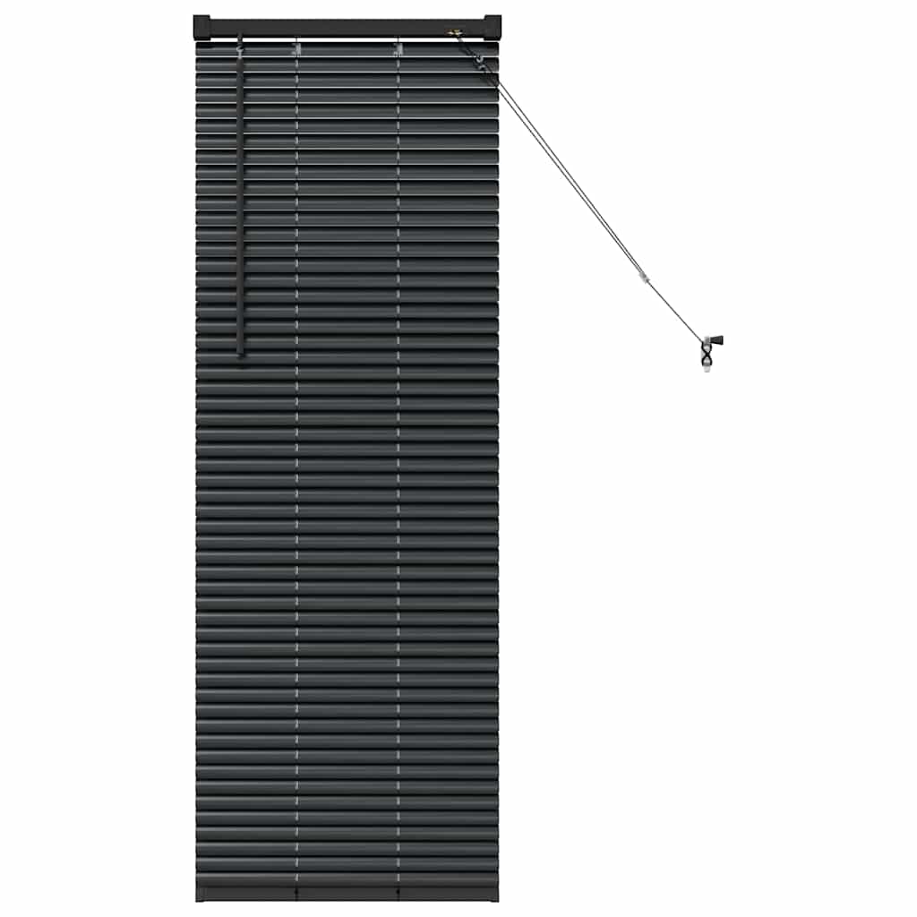 Vidaxl venetiaanse jaloezieën zwart 130 x 55 cm aluminium