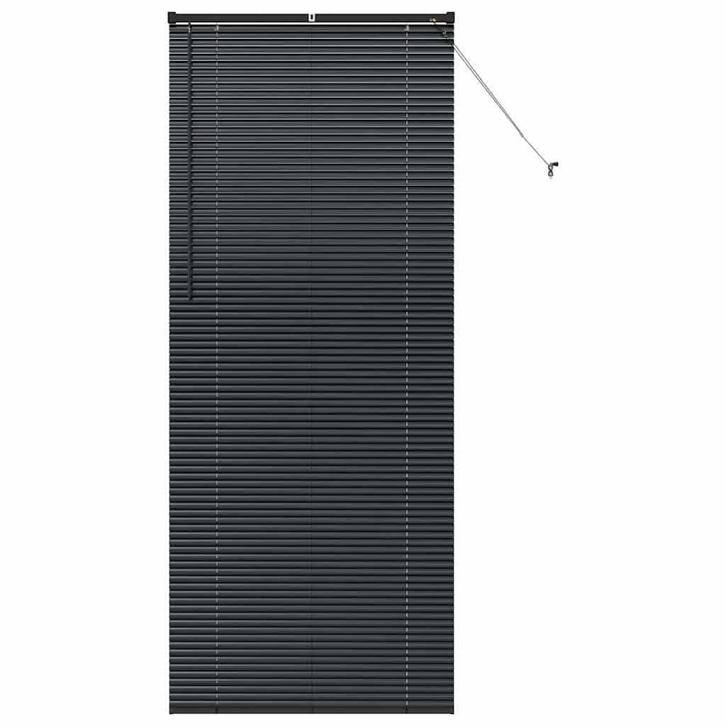 Vidaxl venetiaanse jaloezieën zwart 220 x 95 cm aluminium