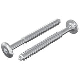 Vidaxl houten schroeven 2 pcs zilver m6 x 70 mm staal