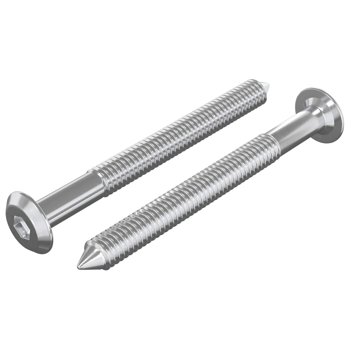 Vidaxl meubelschroeven 2 pcs zilver m6 x 60 mm staal