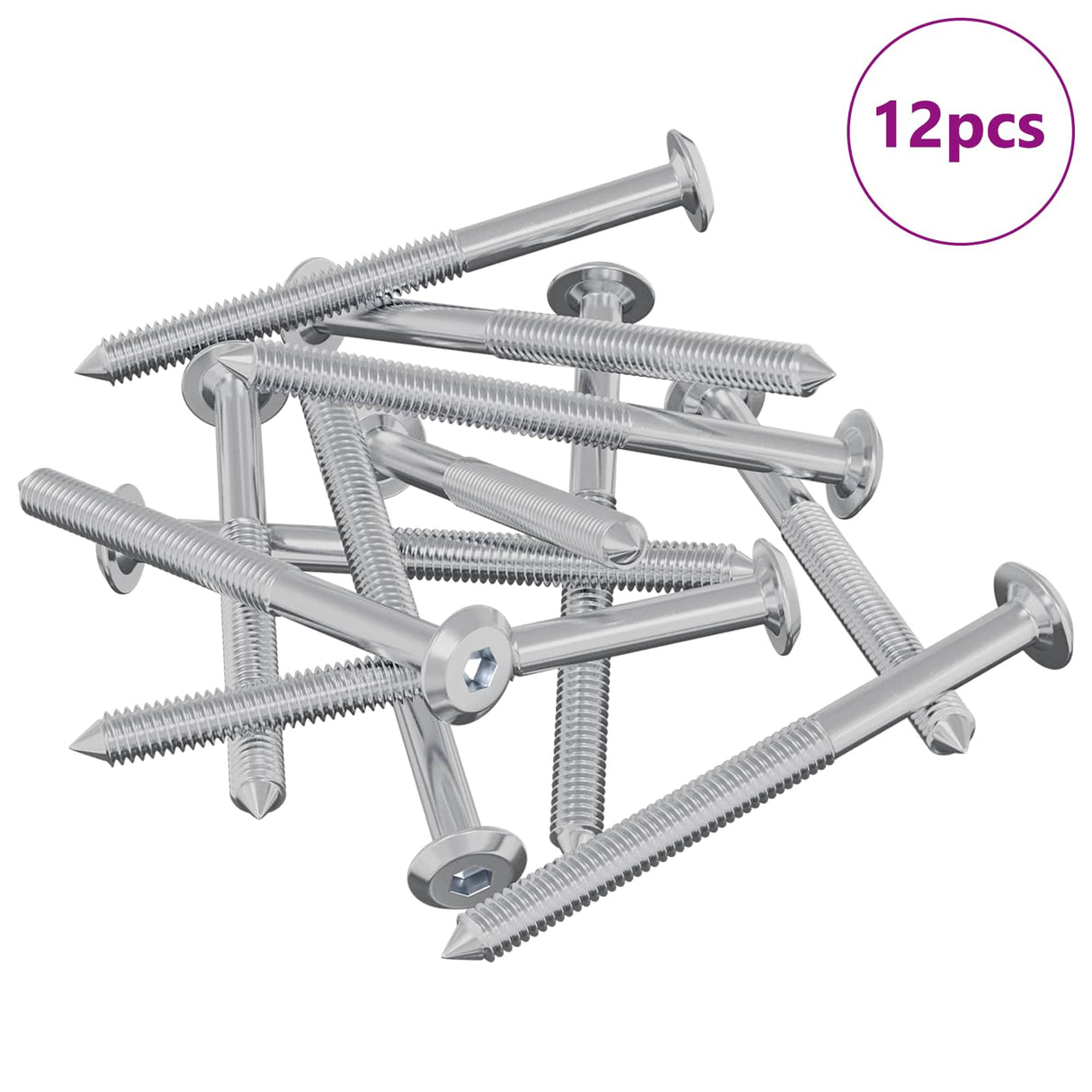 Vidaxl meubelschroeven 12 pcs zilver m6 x 70 mm staal