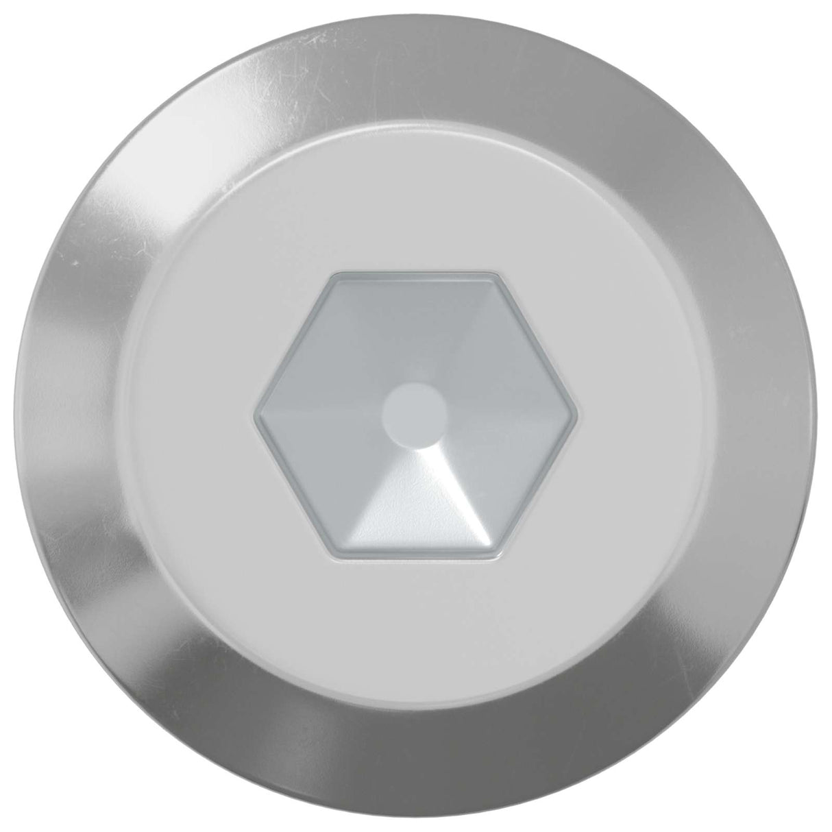 Vidaxl bout 12 pcs zilver m6 x 100 mm staal