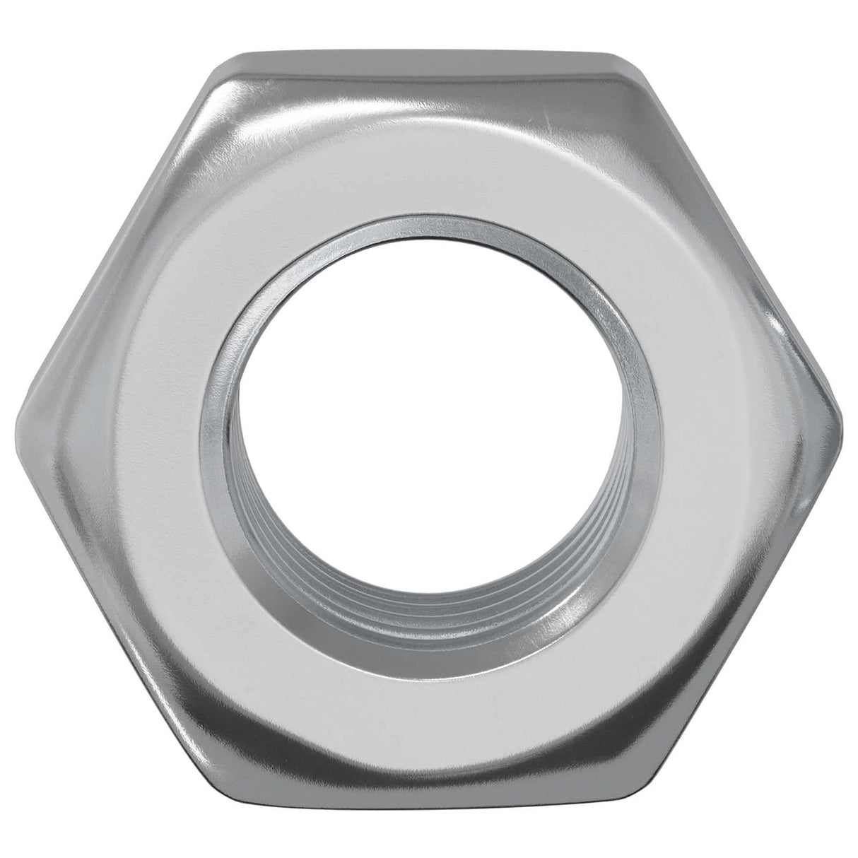 Vidaxl zeshoekige moeren 12 pcs zilver m8 ijzer