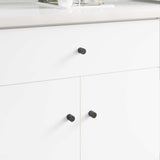 Vidaxl kastknop 12 pcs zwart 18 x 23 mm ijzer