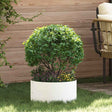 Vidaxl plantenring wit 40 x 40 x 20 cm koudgewalst staal