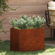 Vidaxl plantenbak roestig 50 x 32 x 40 cm cortenstaal