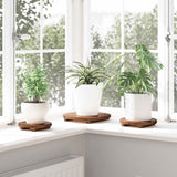 Vidaxl plant stool 3 pcs bruin mahoniehout
