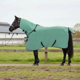 Vidaxl paardendeken speciale groen polyester
