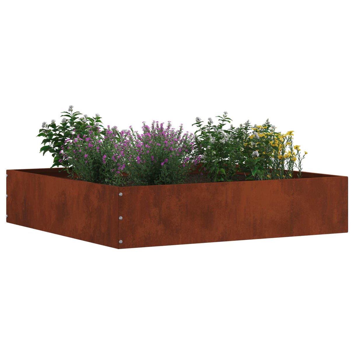 Vidaxl tuinrand 6 pcs roestig 60 x 60 x 13 cm cortenstaal