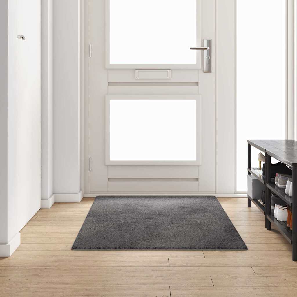 Vidaxl tapijt loper grijs 100 x 200 cm 100% polypropylene tuft