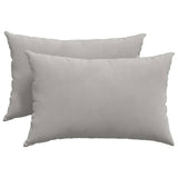 Vidaxl sofa kussens 2 stuks lichtgrijs 60 x 40 cm stof