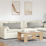 Vidaxl sofa kussens 2 stuks lichtgrijs 120 x 40 cm stof