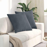 Vidaxl sofa kussens 2 stuks donkergrijs 80 x 80 cm cordstof