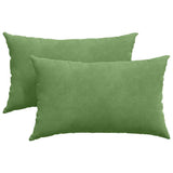 Vidaxl sofa kussens 2 stuks lichtgroen 50 x 30 cm cordstof