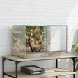 Vidaxl terrarium met opslag transparant 60 x 40 x 40 cm glas