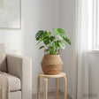Vidaxl plantenpot met handvatten naturel ø 22 x 20 cm 100% zeegras