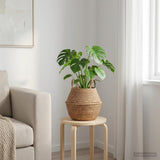 Vidaxl plantenpot met handvatten naturel ø 22 x 20 cm 100% zeegras