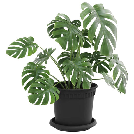 Vidaxl plantenpotten 6 st zwart kunststof