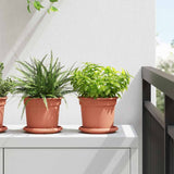 Vidaxl plantenpotten 24 st baksteenrood kunststof