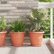 Vidaxl plantenpotten 24 st baksteenrood ø 34 x 28 cm kunststof