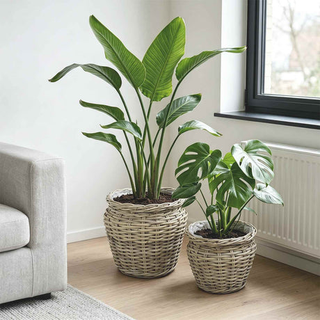 Vidaxl plantenmand met opslag gendt 2 st natuurlijk grijs kubu rattan
