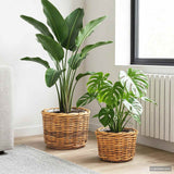 Vidaxl bloempot mand gendt 2 st natuurlijk bruin kubu rattan