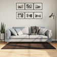 Vidaxl vloerkleed huarte bruin 80 x 150 cm 100% polyester plat