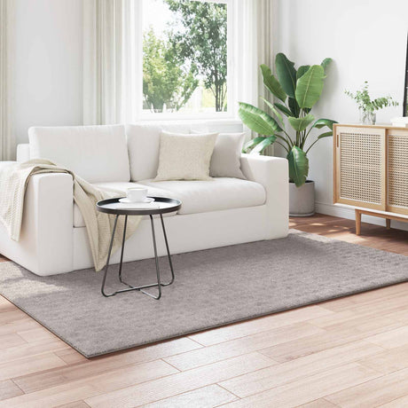 Vidaxl vloerkleden rechthoekig sirolo zand 170 x 120 cm polyester