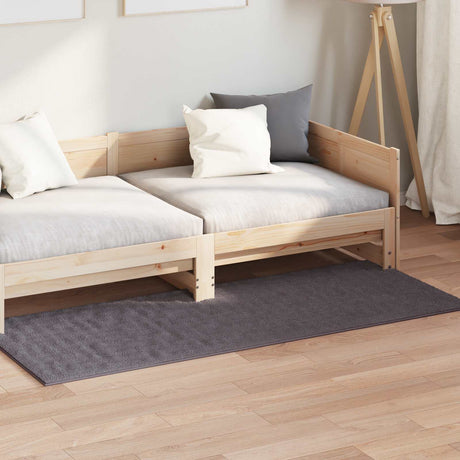 Vidaxl binnen kleed sirolo antraciet 80 x 150 cm polyester medium pile
