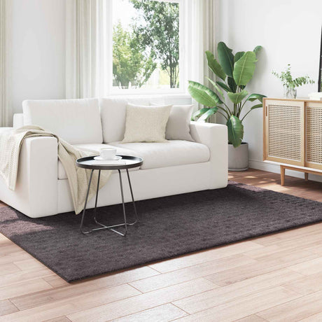 Vidaxl binnen kleed sirolo antraciet 140 x 200 cm polyester
