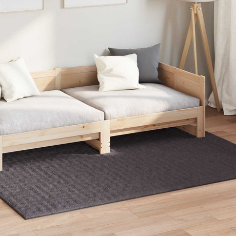 Vidaxl binnen kleed sirolo antraciet 140 x 200 cm polyester