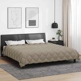 Vidaxl winter dekbed 220 x 260 cm 450 gsm microfiber (100% polyester)