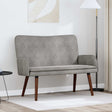 Vidaxl 2-zits sofa lichtgrijs 115 x 61 x 87 cm fluweel