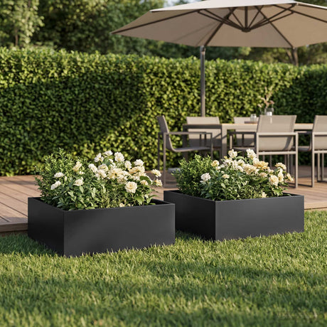 Vidaxl plantenbak 2 st zwart 60 x 60 x 20 cm koudgewalst staal
