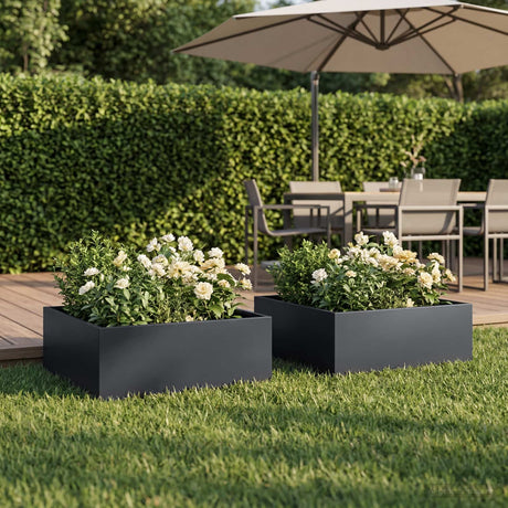 Vidaxl plantenbak 2 st antraciet 60 x 60 x 20 cm koudgewalst staal