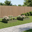 Vidaxl plantenbak 2 st olijfgroen 80 x 80 x 20 cm koudgewalst staal