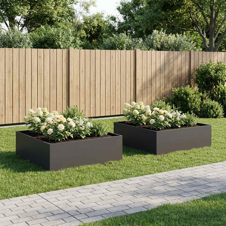 Vidaxl plantenbak 2 st zwart 100 x 100 x 30 cm koudgewalst staal