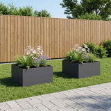 Vidaxl plantenbak 2 st antraciet 80 x 80 x 40 cm koudgewalst staal