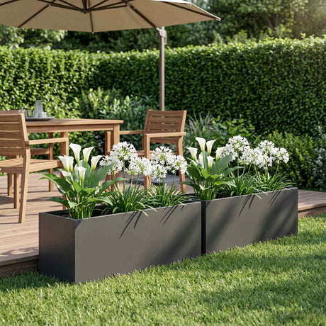 Vidaxl plantenbak 2 st zwart 40 x 20 x 20 cm koudgewalst staal