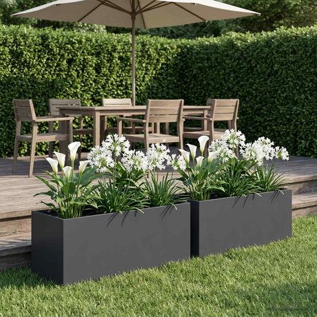Vidaxl plantenbak 2 st antraciet 60 x 20 x 20 cm koudgewalst staal