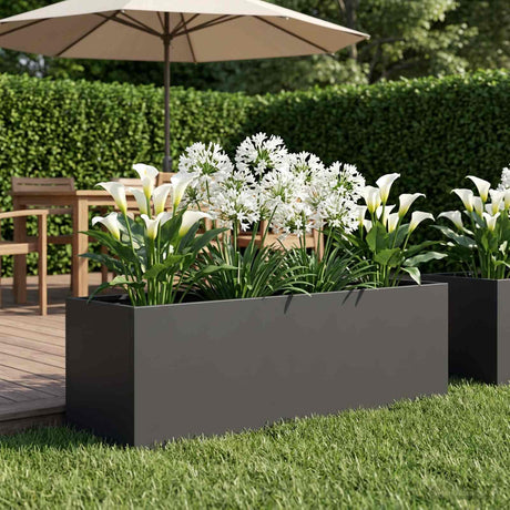 Vidaxl plantenbak zwart 80 x 30 x 30 cm koudgewalst staal