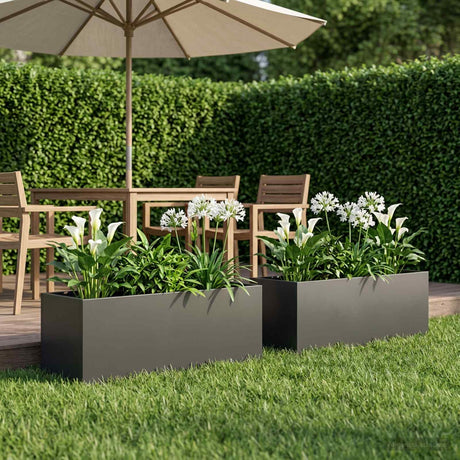 Vidaxl plantenbak 2 st zwart 80 x 30 x 30 cm koudgewalst staal